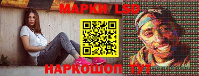 стафф Кандалакша