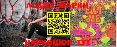 стафф Кандалакша