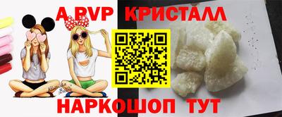 стафф Кандалакша