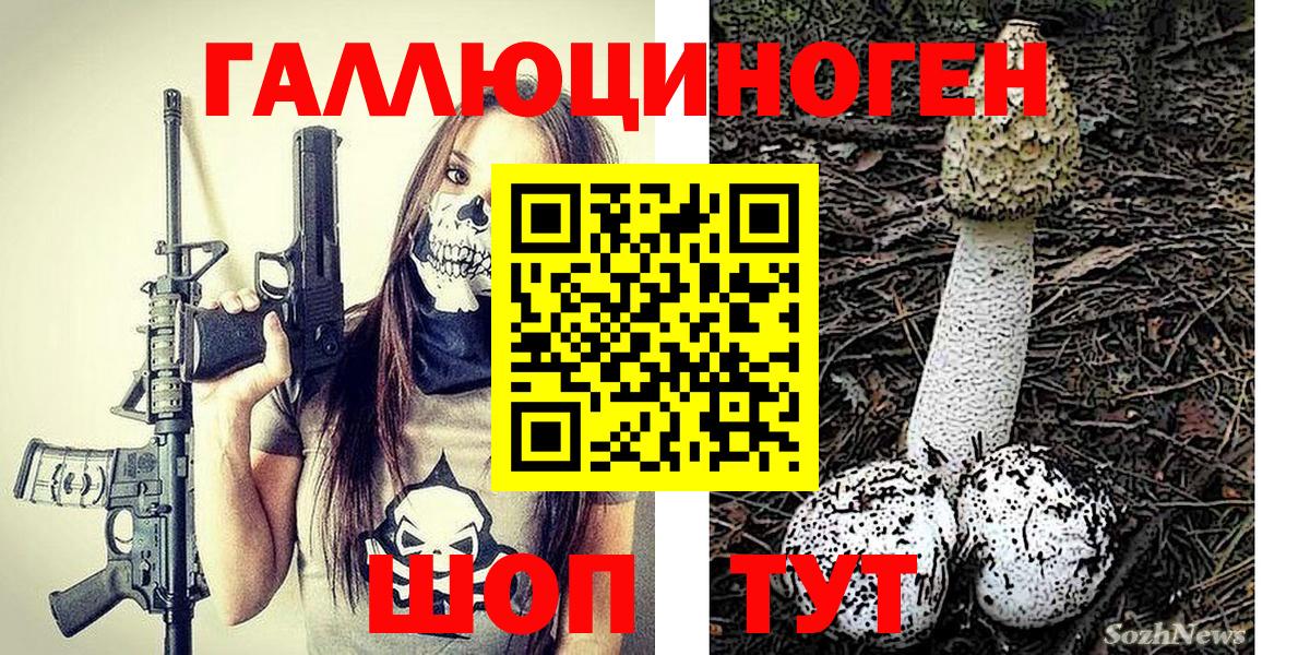 Псилоцибиновые грибы GOLDEN TEACHER Краснодар