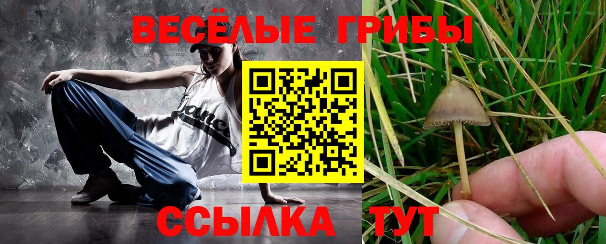 ГАШ  Кокаин  Мефедрон кристаллы  Краснодар  Вход с VPN  Меф МЯУ МЯУ  Метамфетамин 